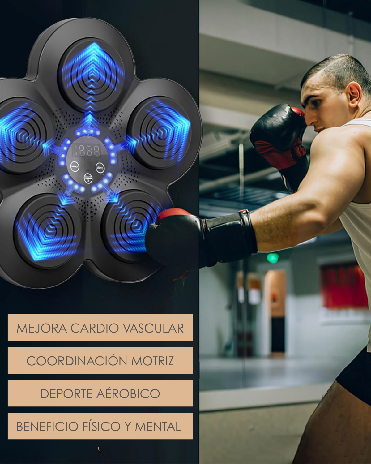 Equipo SoniBox® Bluetooth| Iluminación Rítmica y Conteo Inteligente| 9 Modos de Velocidad